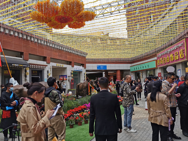 西藏花卉艺术节——主场节日设计搭建